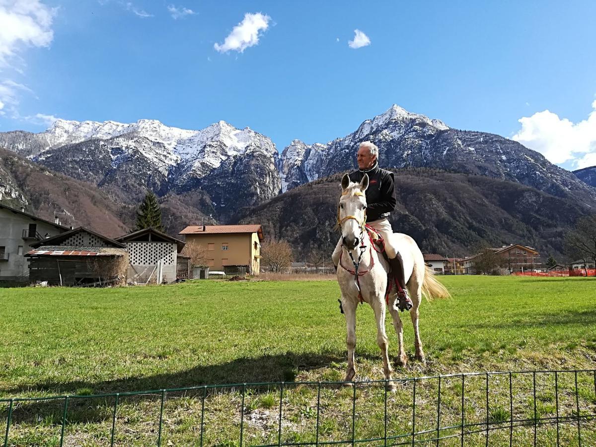 Agritur Airone Bed & Camping Levico Terme Exterior photo